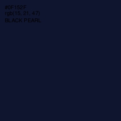 #0F152F - Black Pearl Color Image